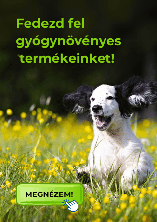 Kutya gyógynövényes vitaminok