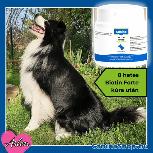 Biotin Forte: Szőrvitamin kutyáknak (210 tabletta)