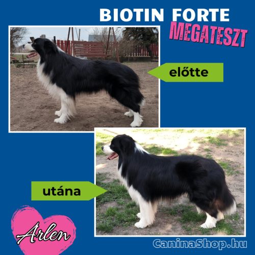 Biotin Forte: Szőrvitamin kutyáknak (600 tabletta)