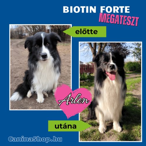 Biotin Forte: Szőrvitamin kutyáknak (600 tabletta)