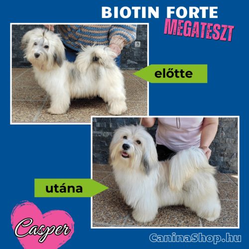 Biotin Forte: Szőrvitamin kutyáknak (600 tabletta)