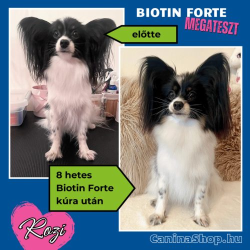 Biotin Forte: Szőrvitamin kutyáknak (600 tabletta)