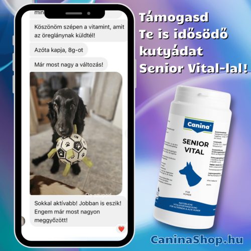 Senior Vital: Természetes vitamin-, ásványi anyag és nyomelem formula idősödő kutyáknak (250g)