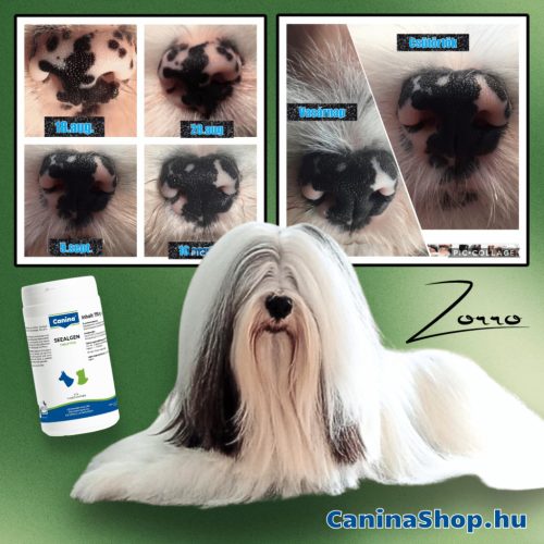 Bio Seealgen: Bio Tengeri Alga por kutyáknak és macskáknak (250g)