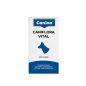 Caniflora Vital for dogs: Probiotikum és prebiotikum kutyáknak a kiegyensúlyozott bélflóráért és immunrendszerért (60g)