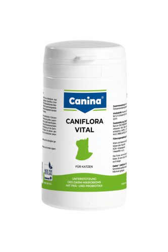 Caniflora Vital for cats: Probiotikum és prebiotikum macskáknak a kiegyensúlyozott bélflóráért és immunrendszerért