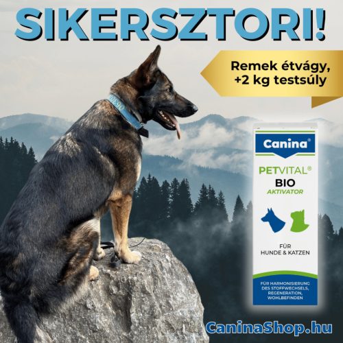 PETVITAL Bio-Aktivator: Regeneráló, vitalizáló, étvágyjavító, immunerősítő formula kutyáknak és macskáknak