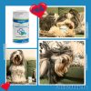 Petvital Arthro: A csontok, ínak és ízületek természetes támogatására kutyáknak és macskáknak (60 tabletta)