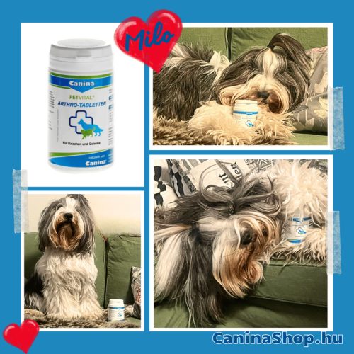 Petvital Arthro: A csontok, ínak és ízületek természetes támogatására kutyáknak és macskáknak (180 tabletta)