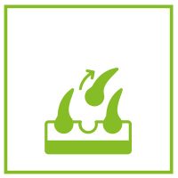 Szőrhullás, túlzott vedlés