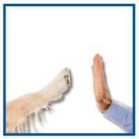 Problémák megoldása