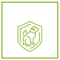 Immunerősítők, teljesítménynövelők és emésztésjavító termékek macskáknak