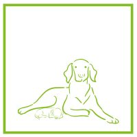 Kutyatenyésztőknek, kiállítóknak