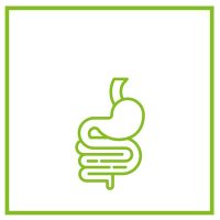 Emésztőrendszer-támogató, emésztésjavító kiegészítők kutyáknak