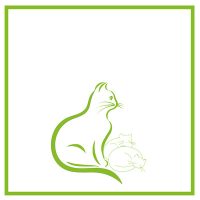 Kiegészítők macskatenyésztőknek, anyacicáknak