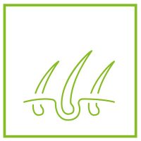 Szőr és bőr vitaminok és kiegészítők macskáknak