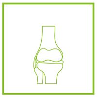 Ízületvédők és erősítők, csonterősítők macskáknak