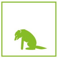 Legyengült, lábadozik