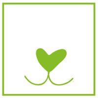 Senior vitaminok és kiegészítők idősödő kutyáknak