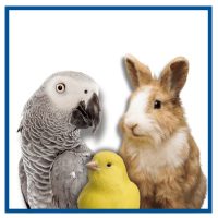 Vitaminok rágcsálóknak, madaraknak, nyulaknak