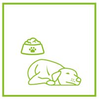 Túl sovány, nem eszik