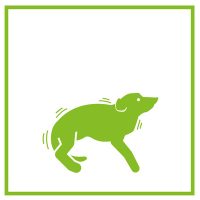 Fél, agresszív, viselkedészavaros