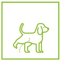 Húgyúti problémák