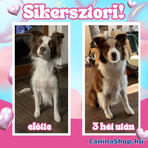 Biotin Forte: Szőrvitamin kutyáknak (120 tabletta)