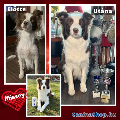 Biotin Forte: Szőrvitamin kutyáknak (120 tabletta)