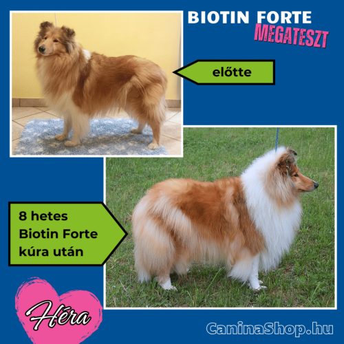 Biotin Forte: Szőrvitamin kutyáknak (120 tabletta)
