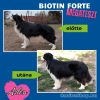 Biotin Forte: Szőrvitamin kutyáknak (120 tabletta)