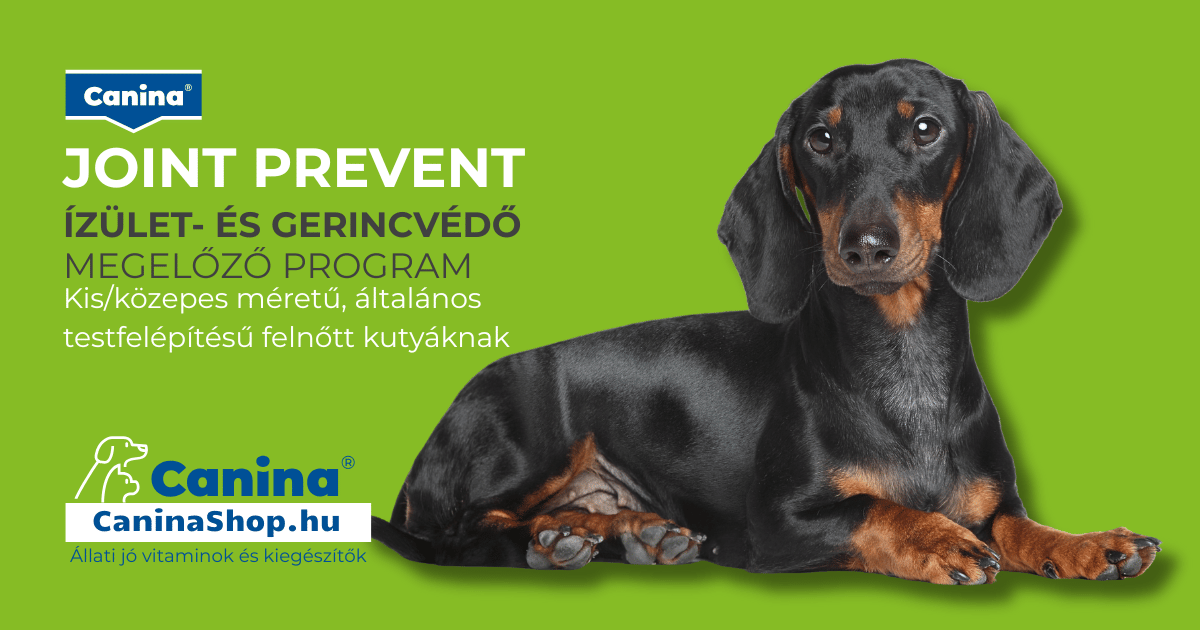 JOINTprevent ízületvédő csomag – porcerősítés és ízületvédelem kutyáknak