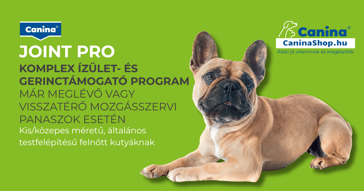 JOINTpro ízületvédő csomag – komplex ízületvédelem és mozgékonyság kutyáknak